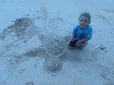 Želva z písku