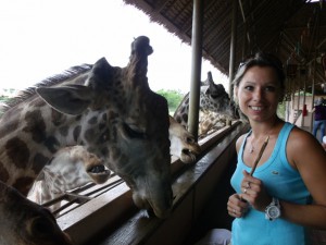 Krmení žiraf v Safari Worldu
